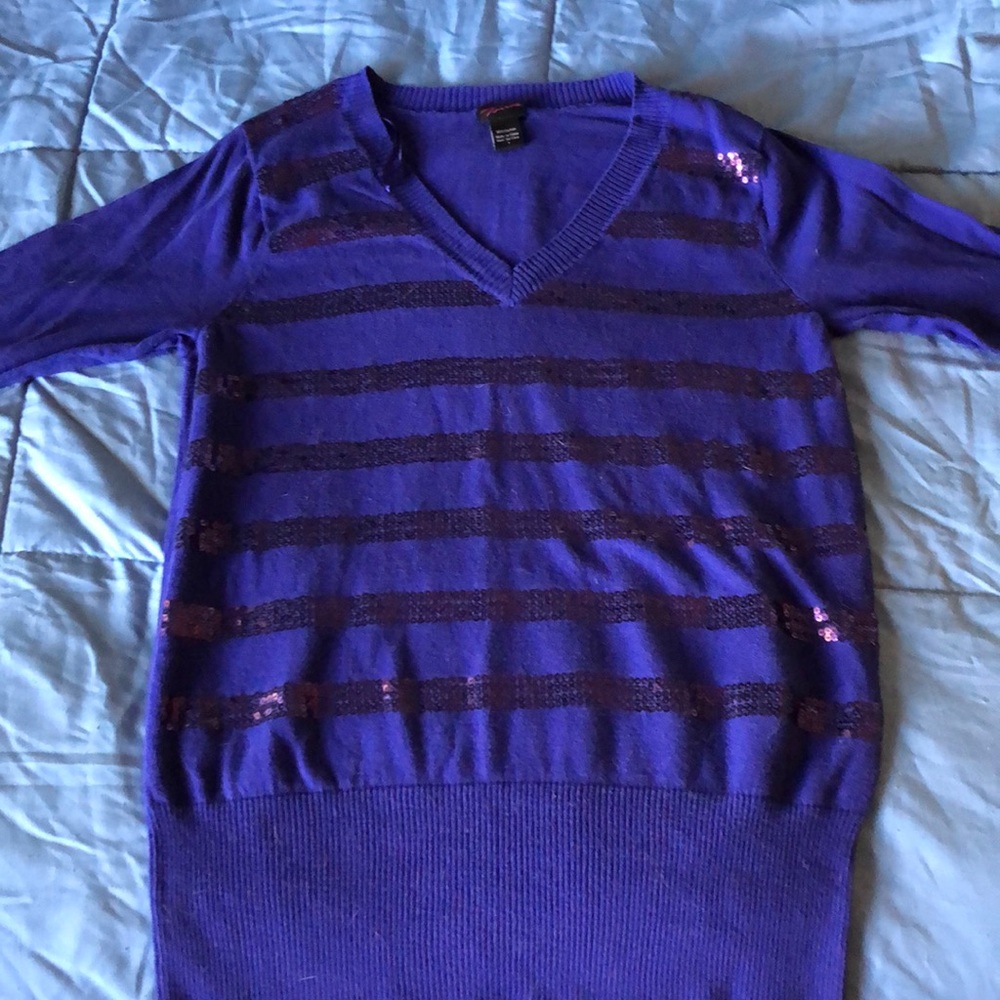 Bluish Purple Sequin Sweater Torrid